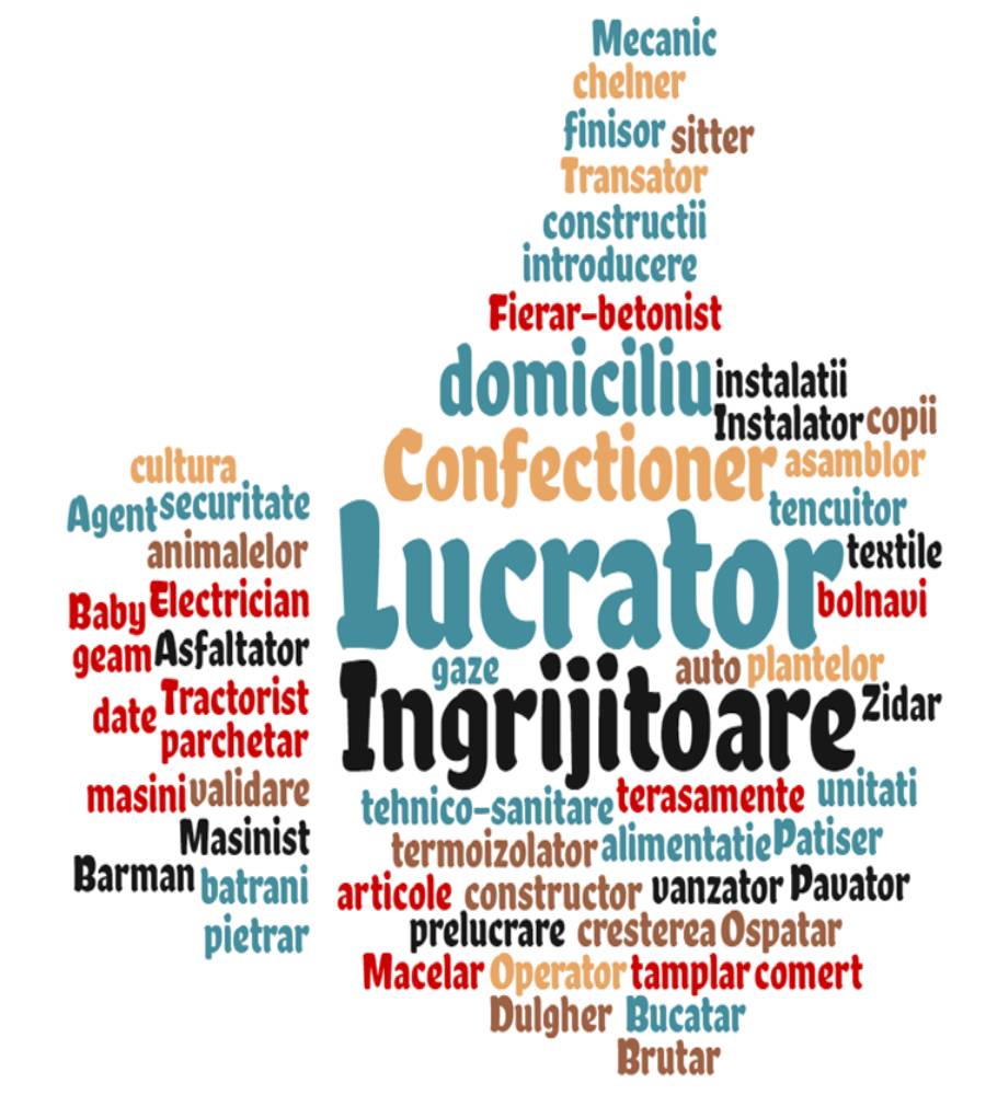 servicii de evaluare si calificare